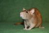 DSC_0128~6.jpg