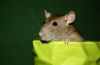 DSC_0129~6.jpg