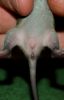 DSC_0130~4.jpg