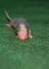 DSC_0131~4.jpg