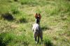 DSC_0132~15.jpg