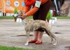 Filename=DSC_0132~16.jpg
Filesize=185KiB
Dimensions=1200x856
Date added=Jul 02, 2017 DSC_0132~16.jpg