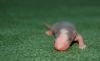 DSC_0132~4.jpg