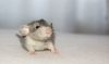 DSC_0133~5.jpg