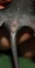 DSC_0134~5.jpg