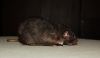 DSC_0135~3.jpg