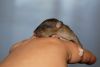 DSC_0135~7.jpg
