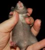 DSC_0136~12.jpg