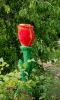 DSC_0136~16.jpg