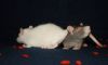 DSC_0137~13.jpg