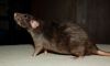 DSC_0137~4.jpg