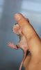 DSC_0140~4.jpg