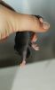 DSC_0143~3.jpg