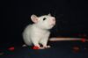 DSC_0143~4.jpg