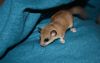 DSC_0144~8.jpg