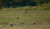 DSC_0145~17.jpg