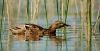 DSC_0145~7.jpg