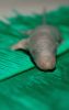 DSC_0146~3.jpg