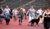 DSC_0147~13.jpg