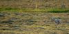 DSC_0148~8.jpg