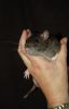DSC_0151~3.jpg