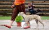 Filename=DSC_0152~10.jpg
Filesize=136KiB
Dimensions=1200x749
Date added=Jul 02, 2017 DSC_0152~10.jpg