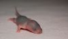 DSC_0152~4.jpg