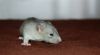 DSC_0153~10.jpg