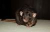 DSC_0153~2.jpg