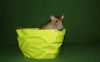 DSC_0153~9.jpg