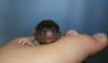 DSC_0154~3.jpg