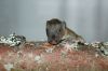 DSC_0154~4.jpg