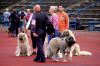 DSC_0154~9.jpg