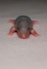 DSC_0155~2.jpg