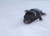 DSC_0156~5.jpg