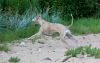 DSC_0156~6.jpg