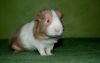 DSC_0157~0.jpg