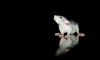 DSC_0157~6.jpg