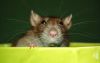 DSC_0158~8.jpg