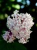 DSC_0159~0.jpg