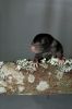 DSC_0159~4.jpg