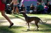 DSC_0160~3.jpg