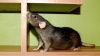 DSC_0161~13.jpg