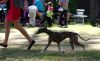 DSC_0161~16.jpg