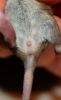 DSC_0161~9.jpg