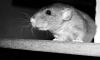 DSC_0164~8.jpg