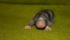 DSC_0165~4.jpg