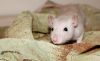 DSC_0165~6.jpg
