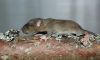 DSC_0166~4.jpg