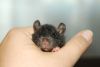 DSC_0166~5.jpg